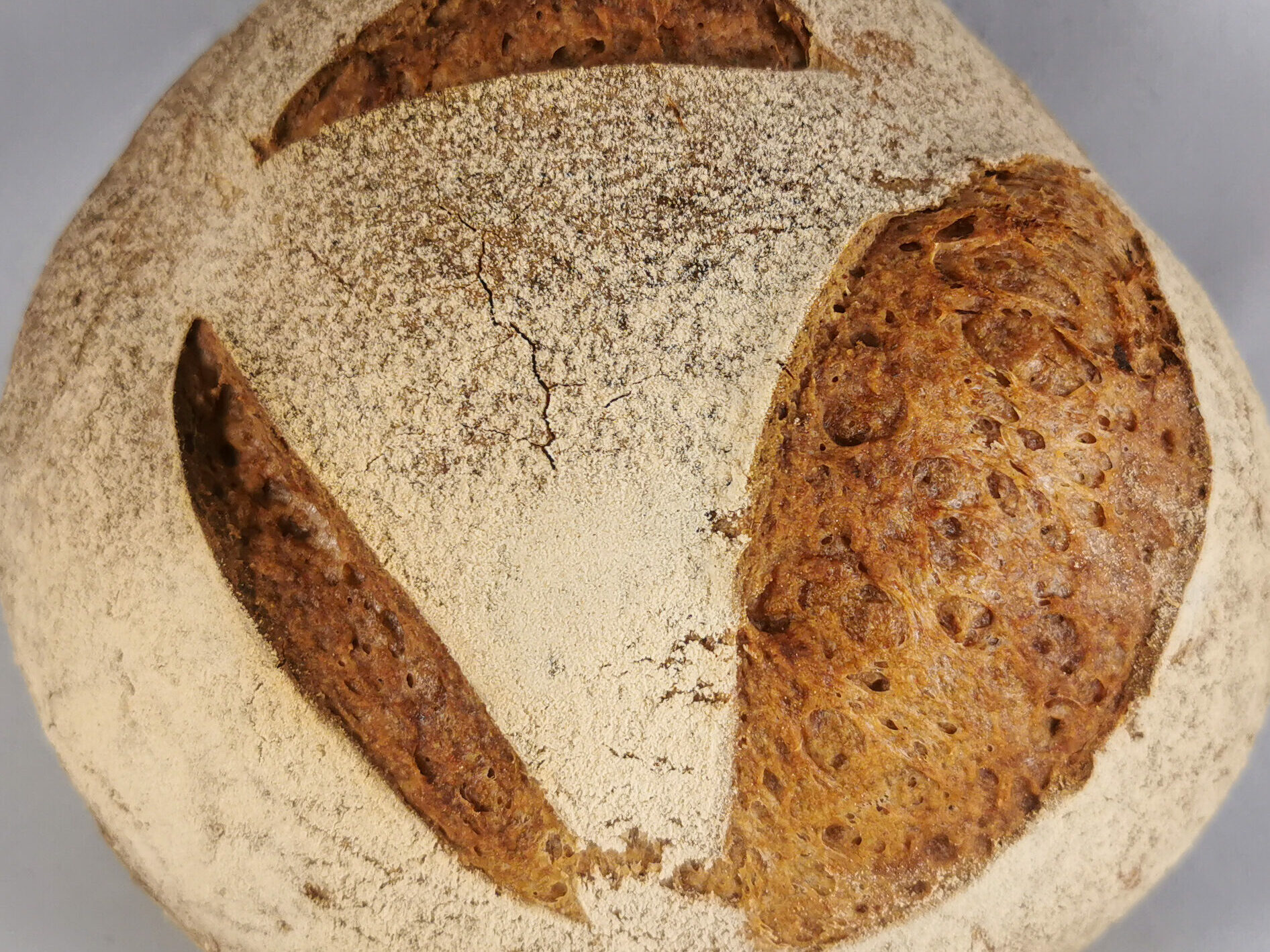 Pain campagne sans gluten et sans lactose